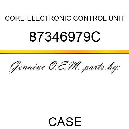 CORE-ELECTRONIC CONTROL UNIT 87346979C