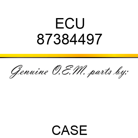 ECU 87384497
