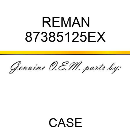 REMAN 87385125EX