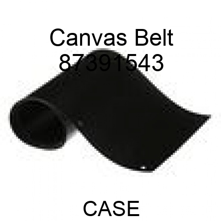 Canvas Belt 87391543