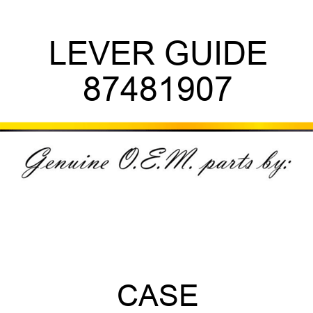 LEVER GUIDE 87481907