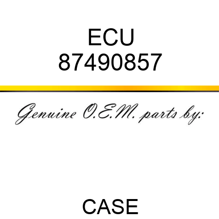ECU 87490857