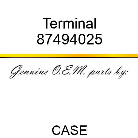 Terminal 87494025