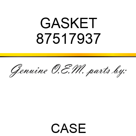 GASKET 87517937