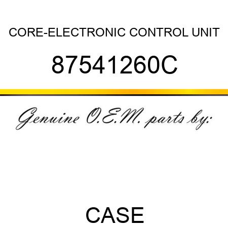CORE-ELECTRONIC CONTROL UNIT 87541260C