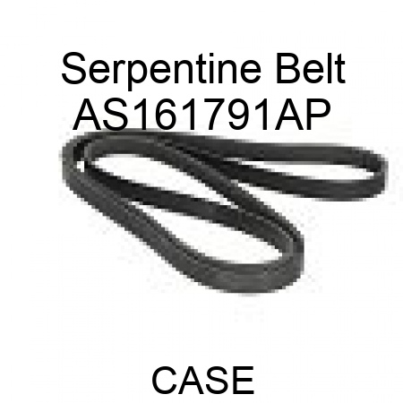 Serpentine Belt AS161791AP