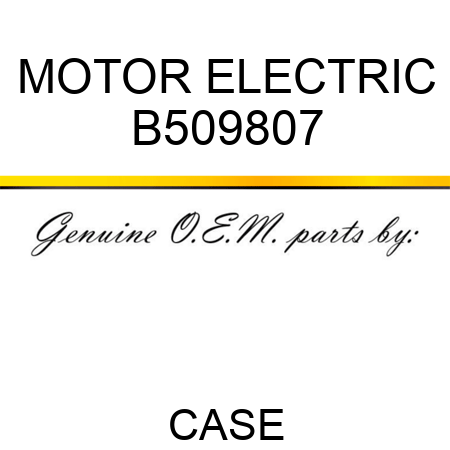 MOTOR, ELECTRIC B509807