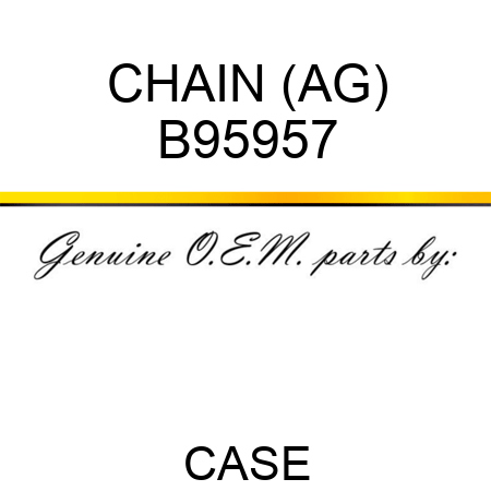 CHAIN (AG) B95957