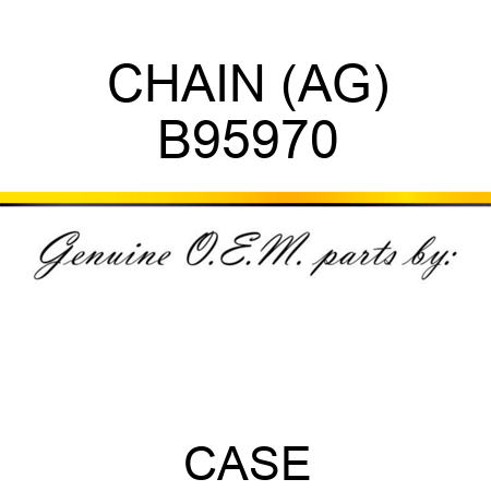 CHAIN (AG) B95970