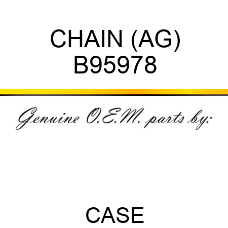 CHAIN (AG) B95978