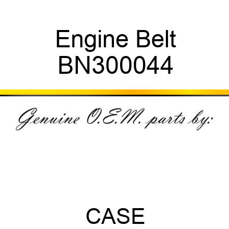 Engine Belt BN300044