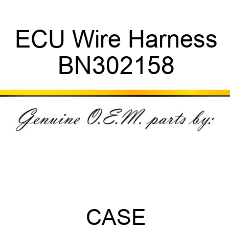 ECU Wire Harness BN302158