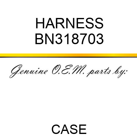 HARNESS BN318703