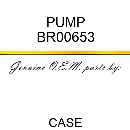 PUMP BR00653