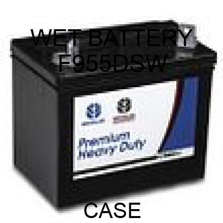 WET BATTERY F955DSW