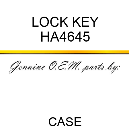 LOCK KEY HA4645