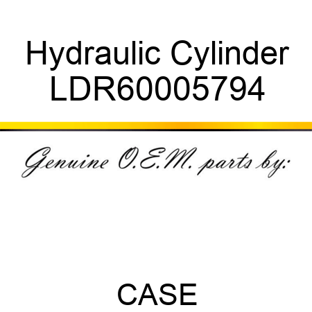 Hydraulic Cylinder LDR60005794