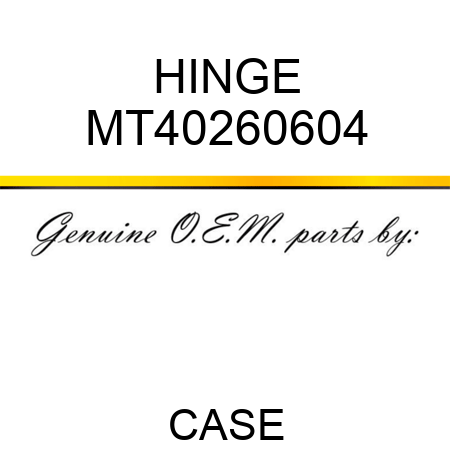 HINGE MT40260604