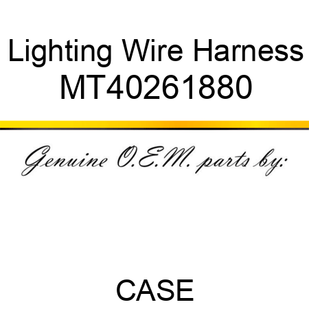 Lighting Wire Harness MT40261880