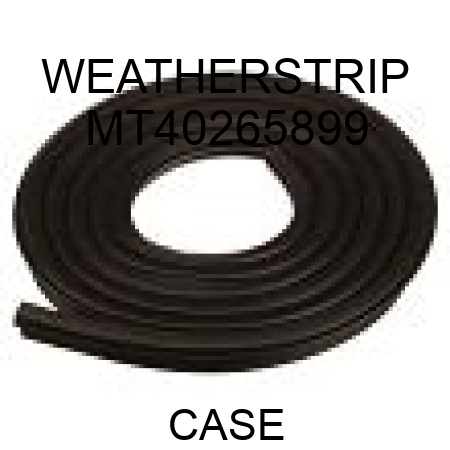 WEATHERSTRIP MT40265899
