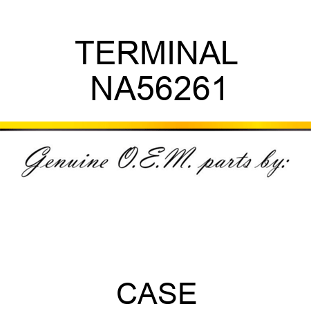 TERMINAL NA56261