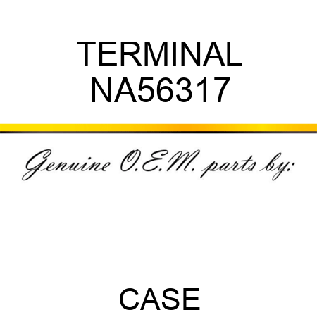 TERMINAL NA56317