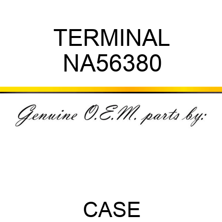TERMINAL NA56380