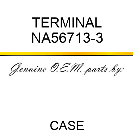 TERMINAL NA56713-3