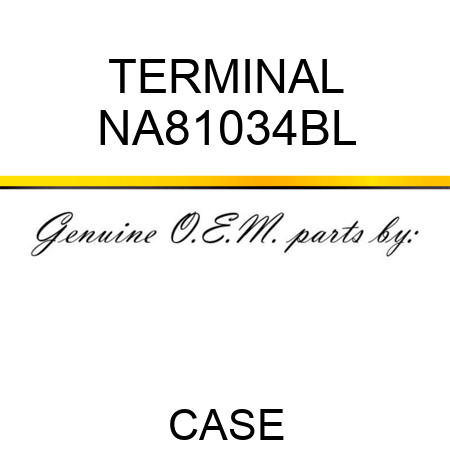 TERMINAL NA81034BL