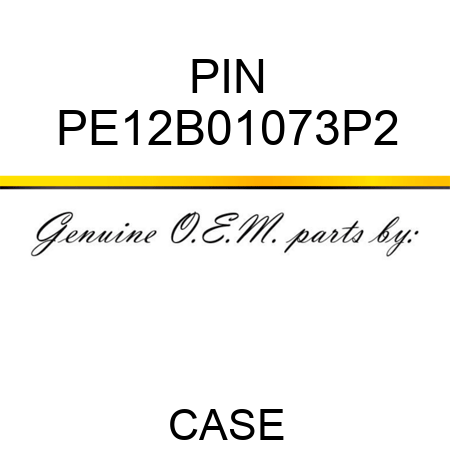 PIN PE12B01073P2