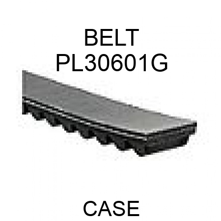 BELT PL30601G