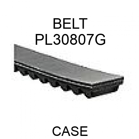 BELT PL30807G