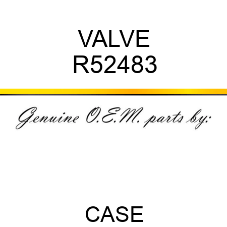 VALVE R52483