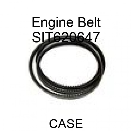 Engine Belt SIT620647