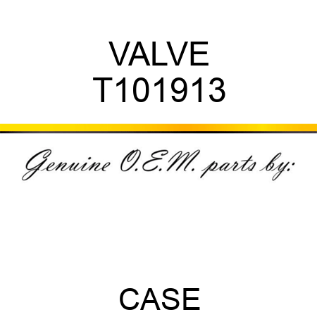 VALVE T101913
