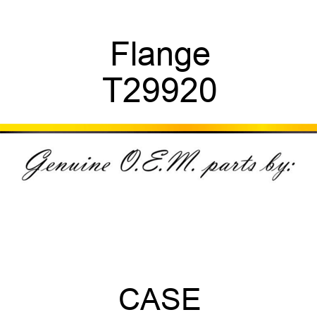Flange T29920