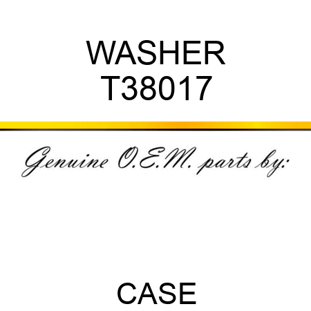 WASHER T38017