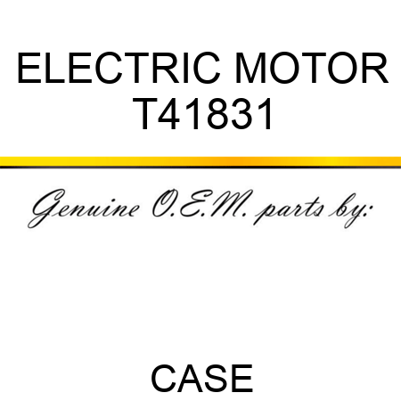 ELECTRIC MOTOR T41831