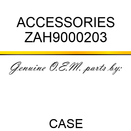 ACCESSORIES ZAH9000203