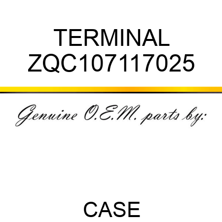 TERMINAL ZQC107117025