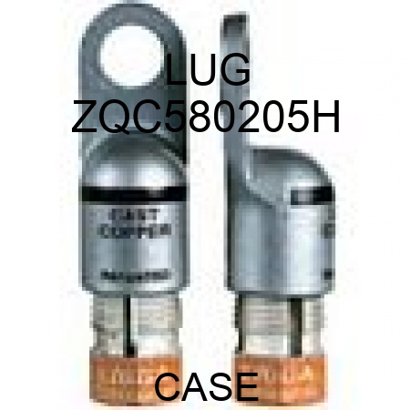 LUG ZQC580205H