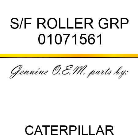 S/F ROLLER GRP 01071561