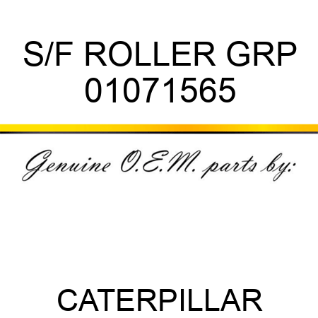 S/F ROLLER GRP 01071565