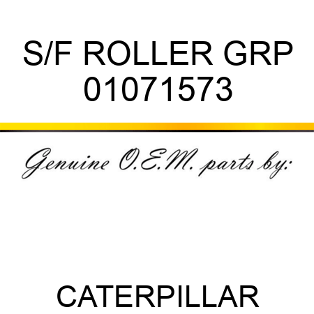 S/F ROLLER GRP 01071573