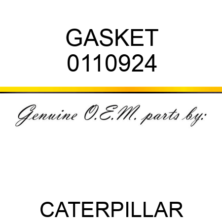 GASKET 0110924