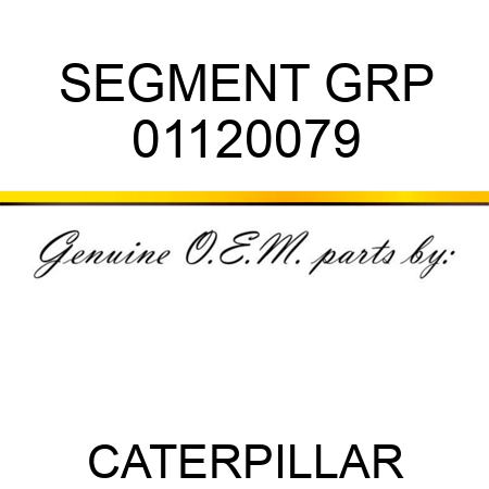 SEGMENT GRP 01120079