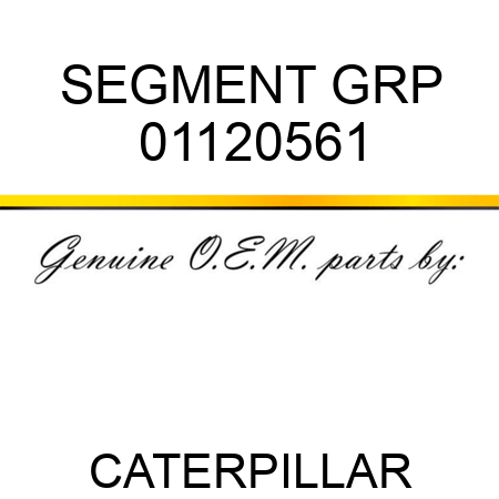 SEGMENT GRP 01120561