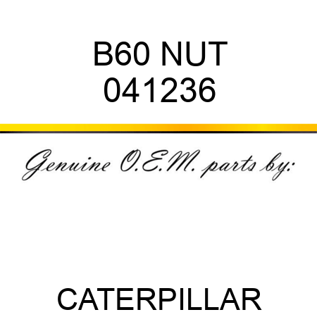B60 NUT 041236