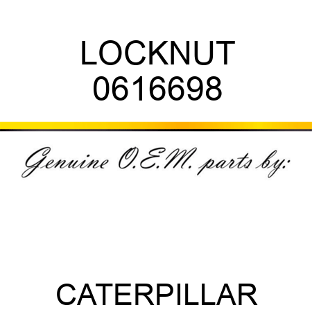 LOCKNUT 0616698