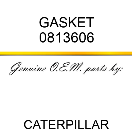 GASKET 0813606